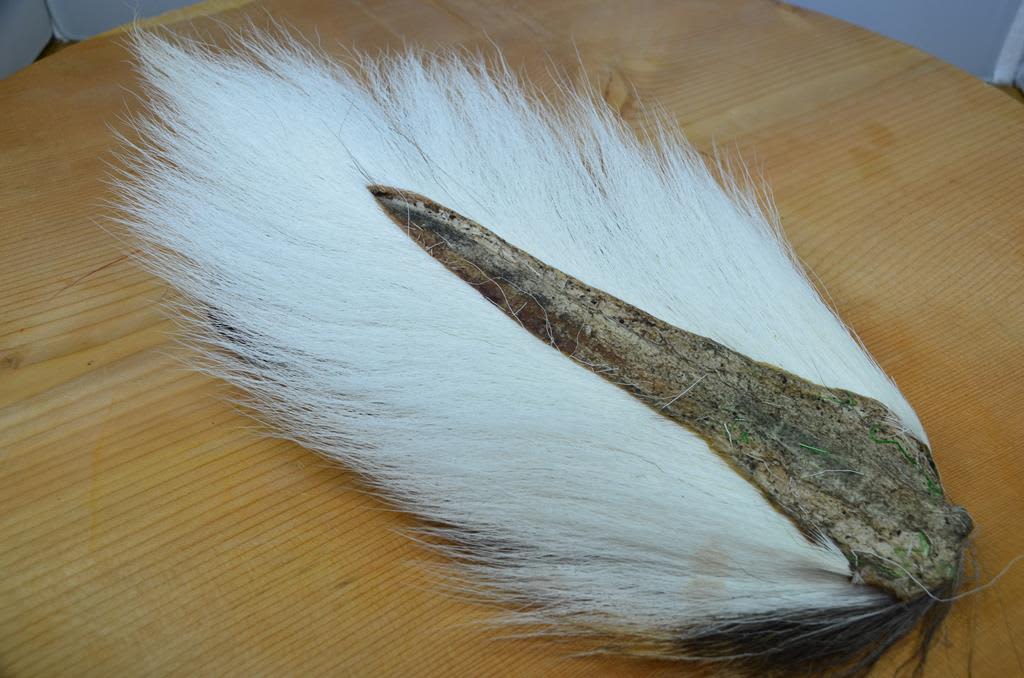 buck tail for fly tying