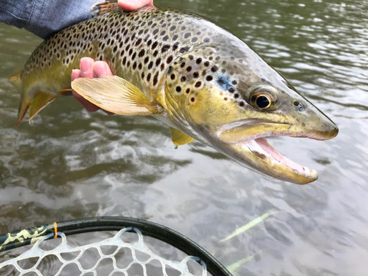 May 27/21 Fishing Report