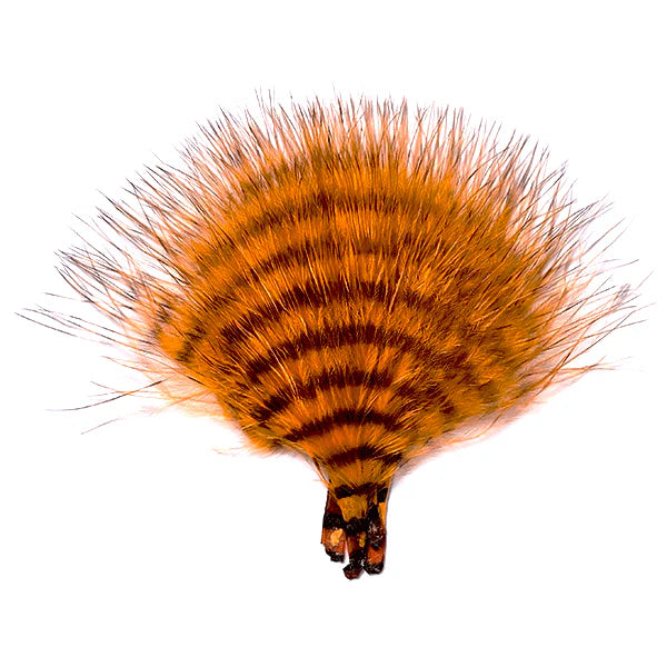 MFC Mini Barred Marabou
