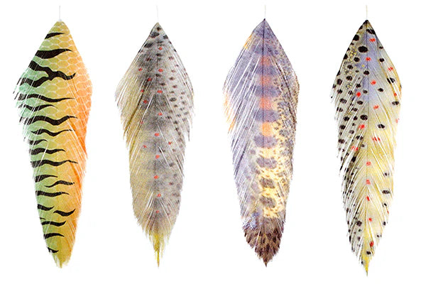 MFC Galloup’s Fish Feathers