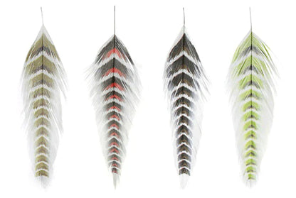 MFC Galloup’s Fish Feathers