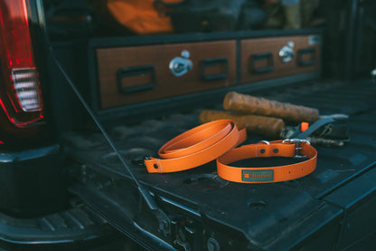 Fishpond Dog Leash