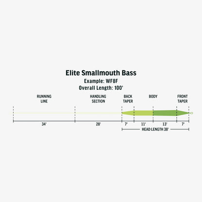 Rio Elite Smallmouth Bass Fly Line