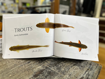 Fish of the Root River of Minnesota by M. McNeilus