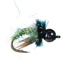 Electric Rock Worm Nymph