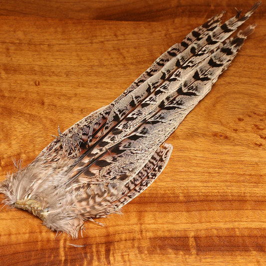 Hareline Ringneck Pheasant Complete Tail Clump