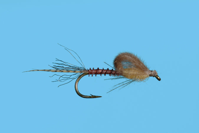 Captive Dun Brown Drake