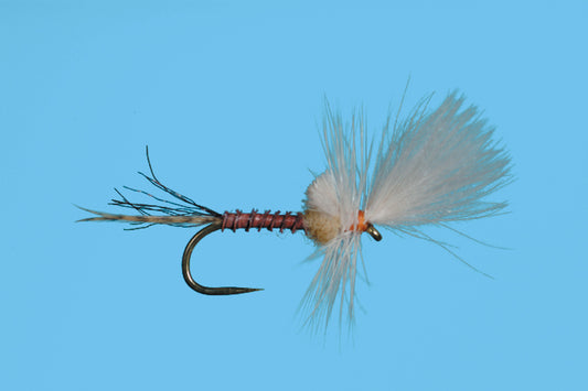 Last Chance Cripple Sulphur