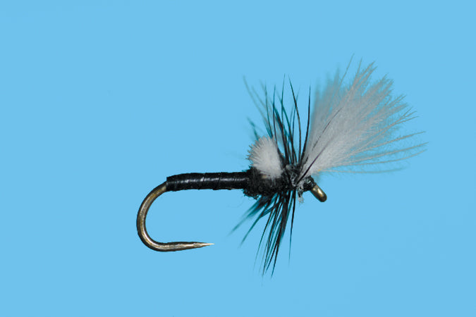 Hanging Midge Fly