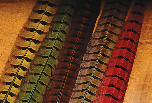 Hareline Ringneck Pheasant Tail