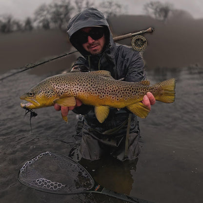 Big Brown Trout Driftless