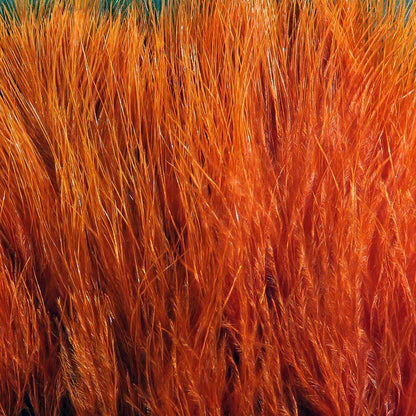 Hareline Extra Select Marabou